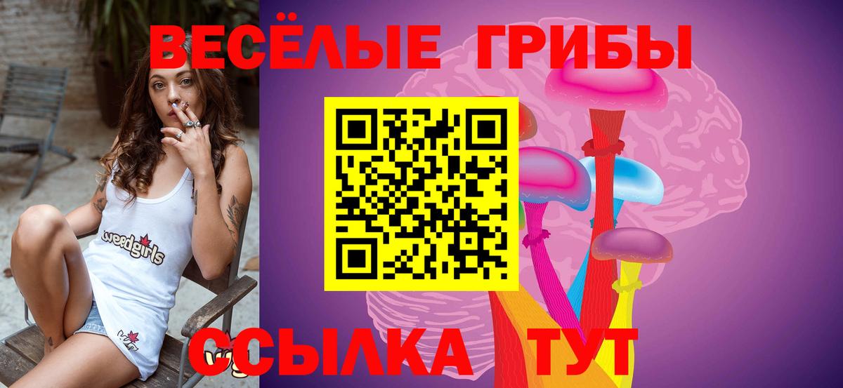 Псилоцибиновые грибы прущие грибы Владивосток