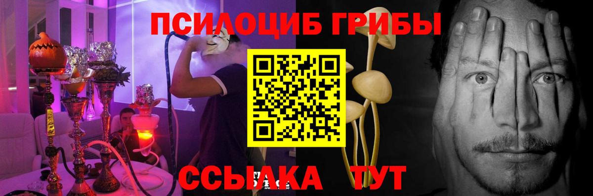 Владивосток  Псилоцибиновые грибы Psilocybine cubensis  Вход с VPN 